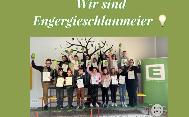  Energieschlaumeier an Schulen – Bewusstsein für die Zukunft